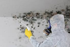 Professional Mold Removal in Plainview, TN